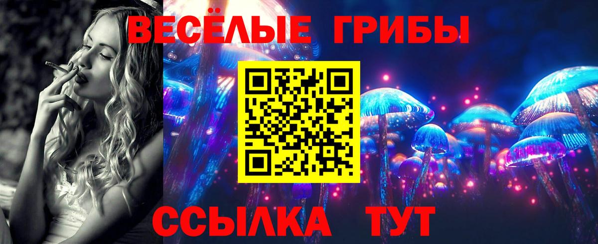 Псилоцибиновые грибы Cubensis  Галлюциногенные грибы Magic Shrooms  Муравленко  Вход с VPN 